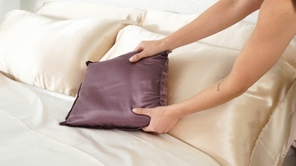 Mulberry Silk Travel Pillow